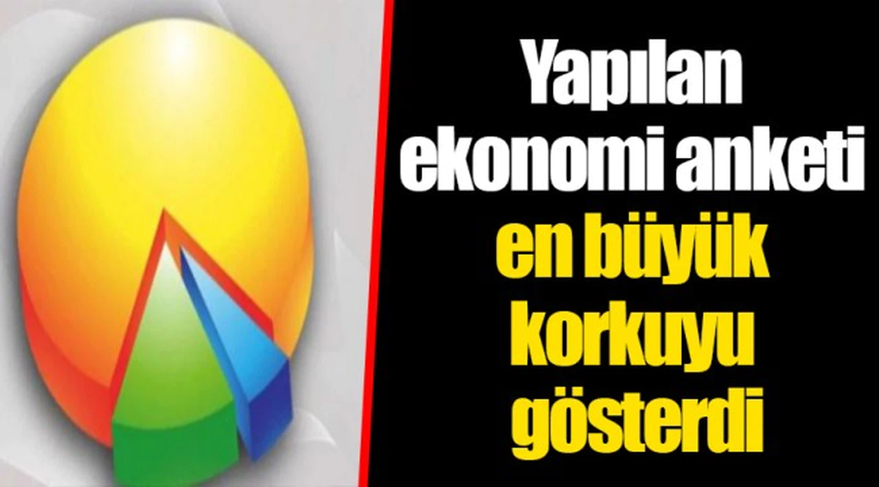 Yapılan ekonomi anketi en büyük korkuyu gösterdi