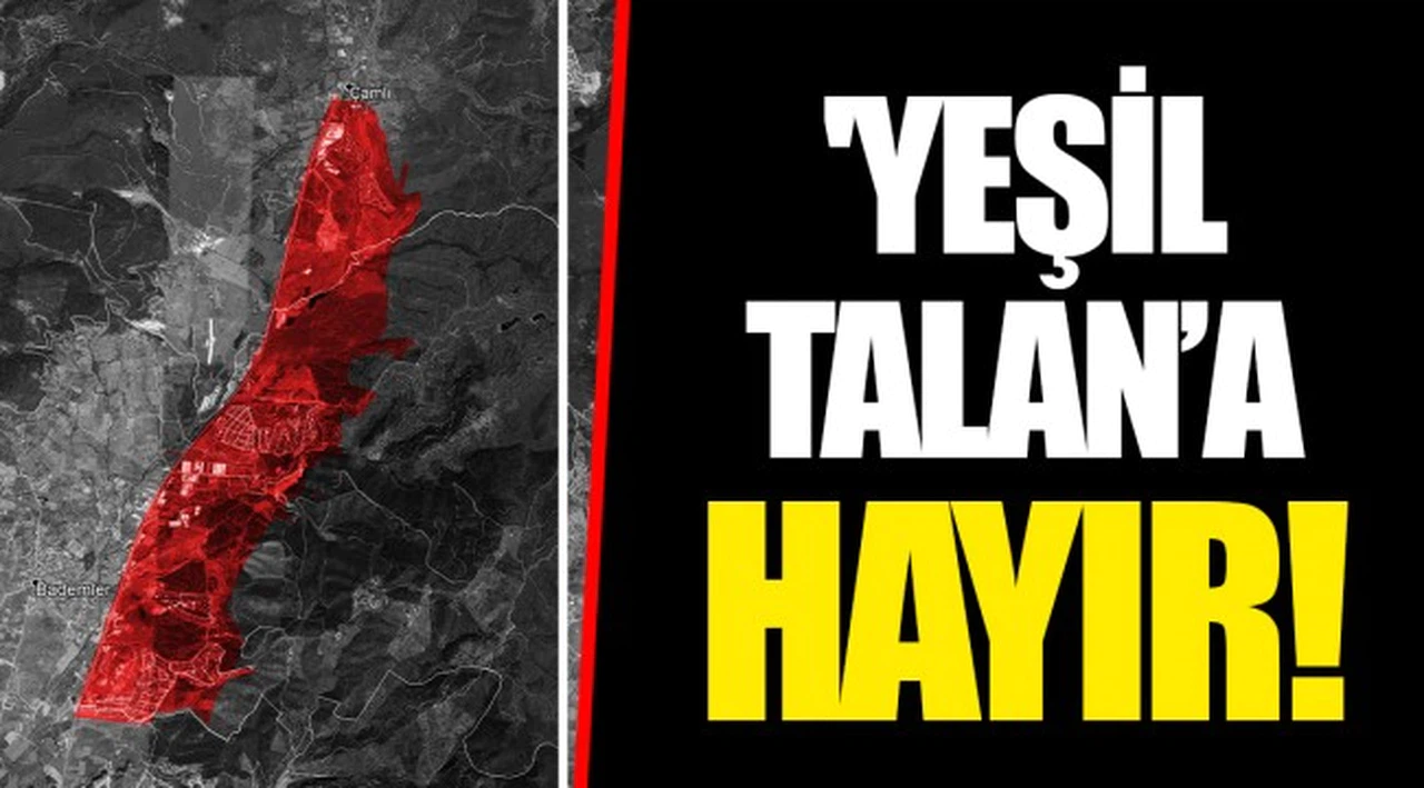 'YEŞİL TALAN’ A HAYIR!