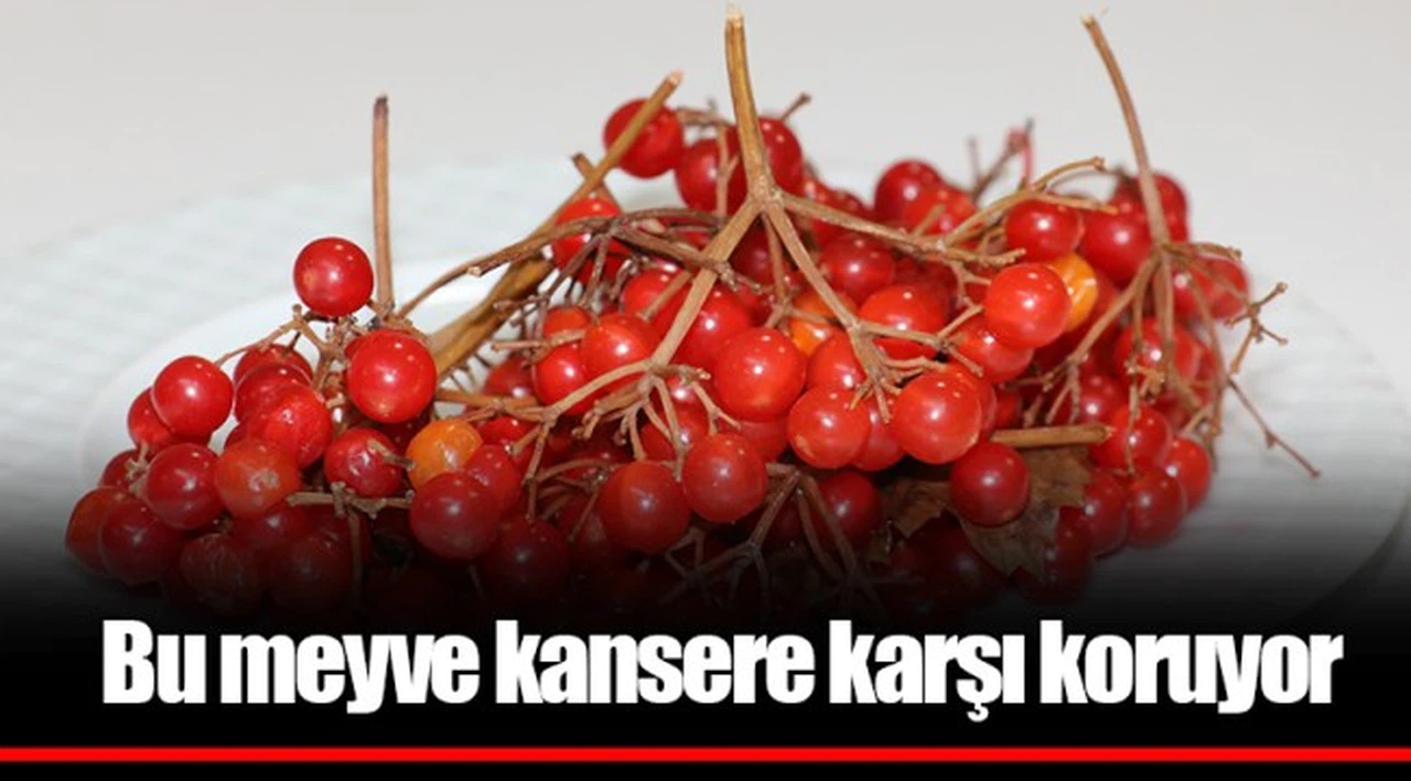 Bu meyve kansere karşı koruyor