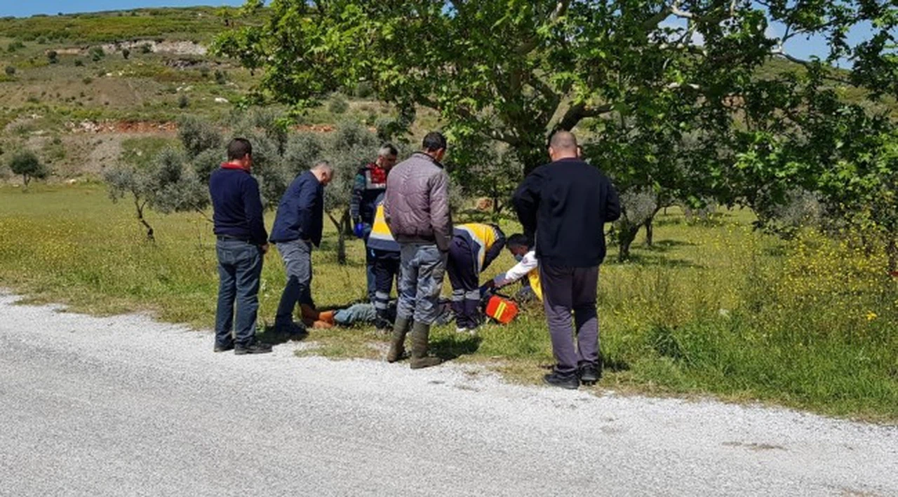 Çoban, yol kenarında ölü olarak bulundu