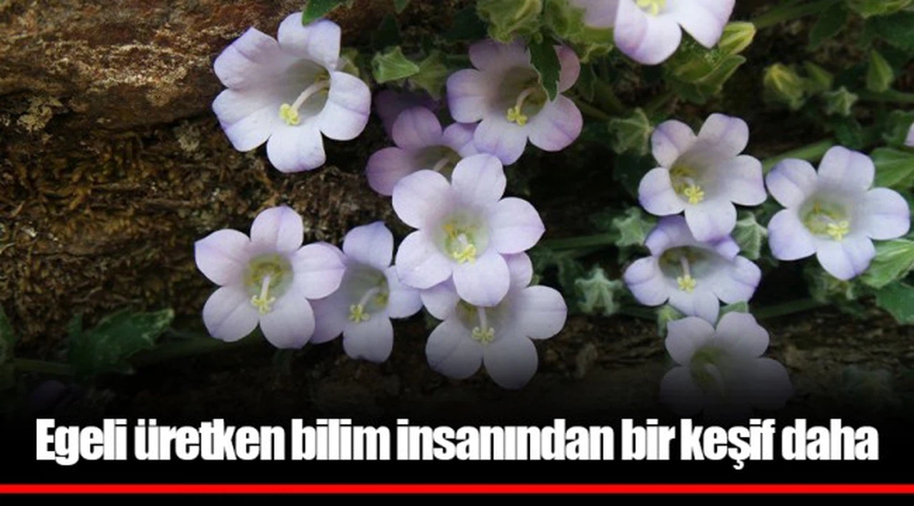 Egeli üretken bilim insanından bir keşif daha
