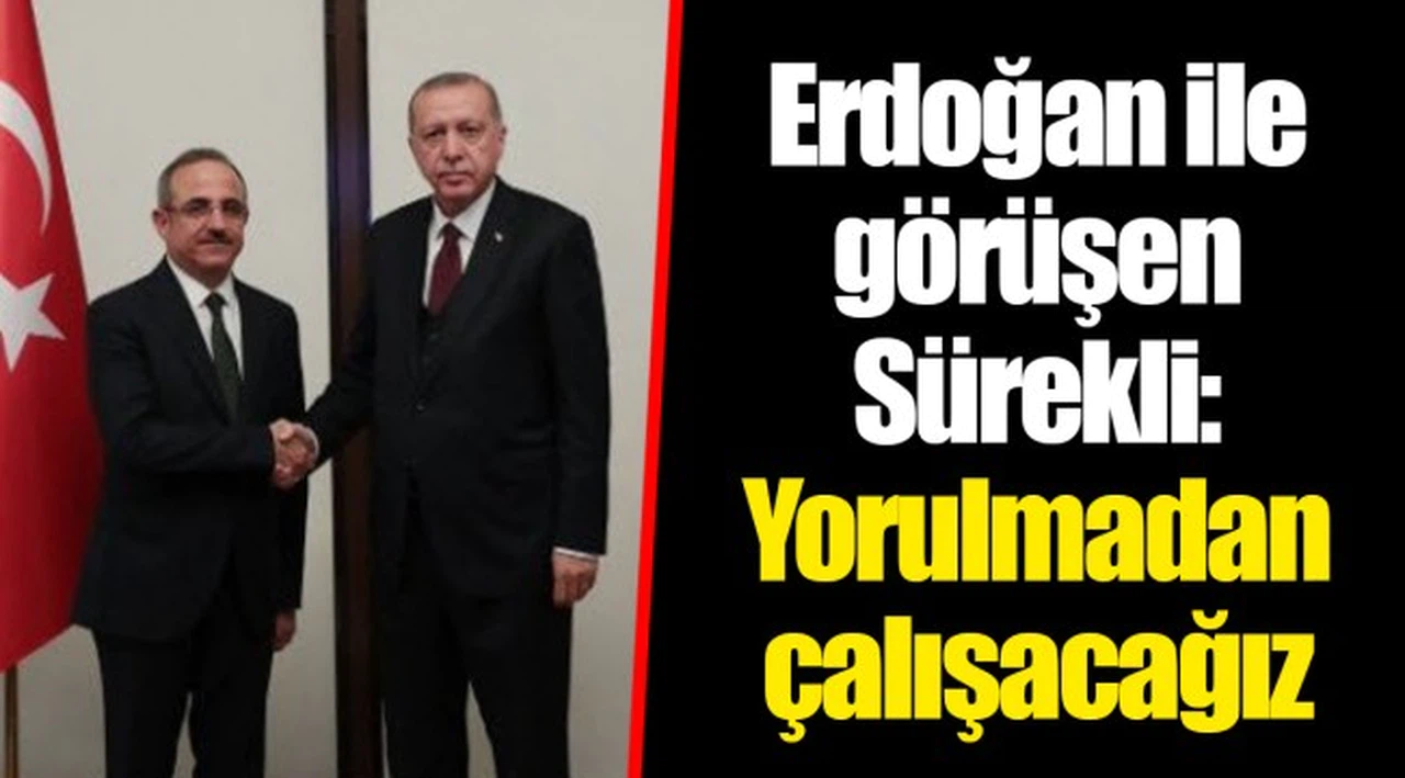 Erdoğan ile görüşen Sürekli: Yorulmadan çalışacağız 