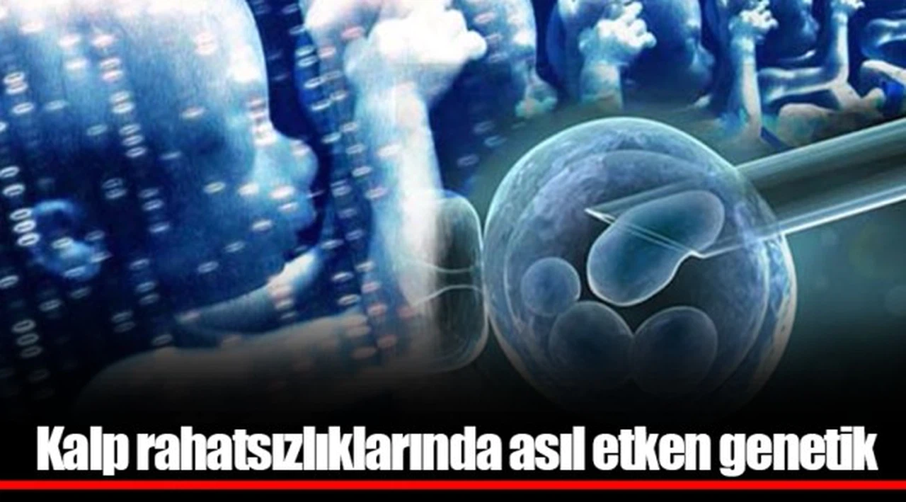 Kalp rahatsızlıklarında asıl etken genetik