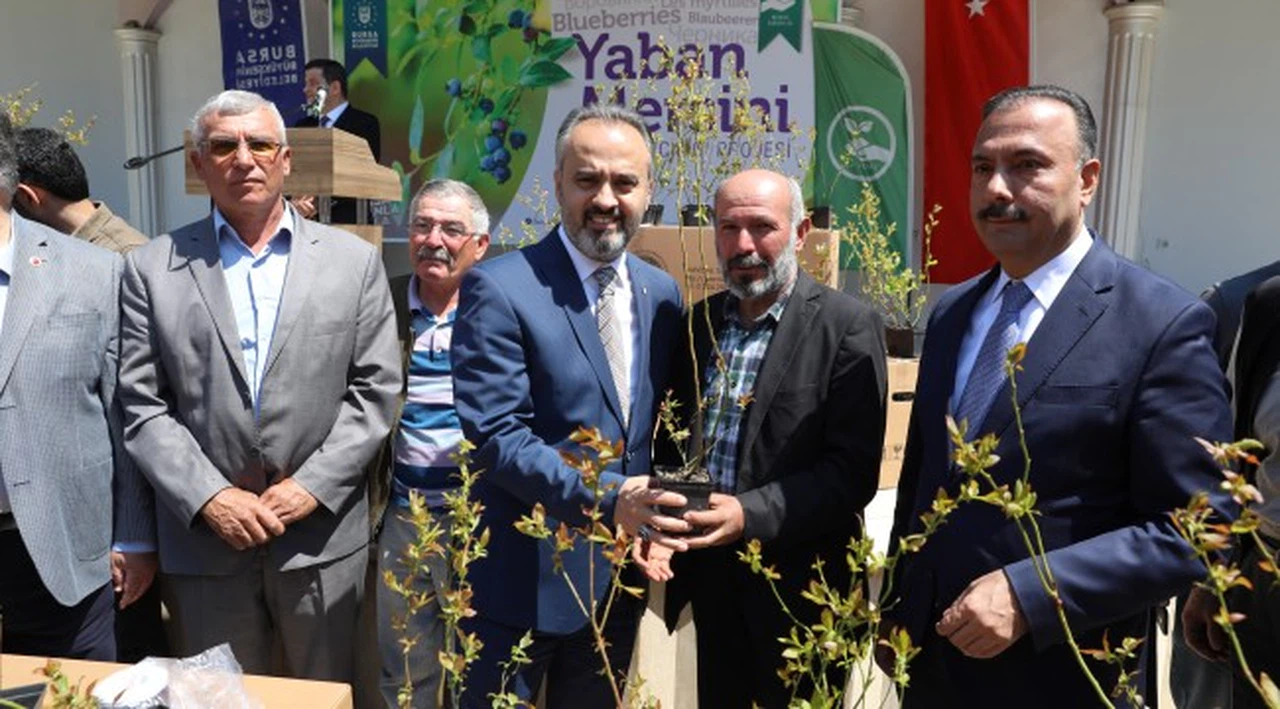 Çiftçi yaban mersini ile kalkınıyor