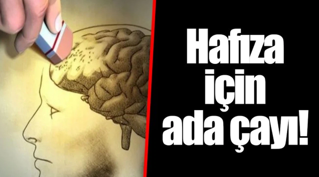 Hafıza için ada çayı!