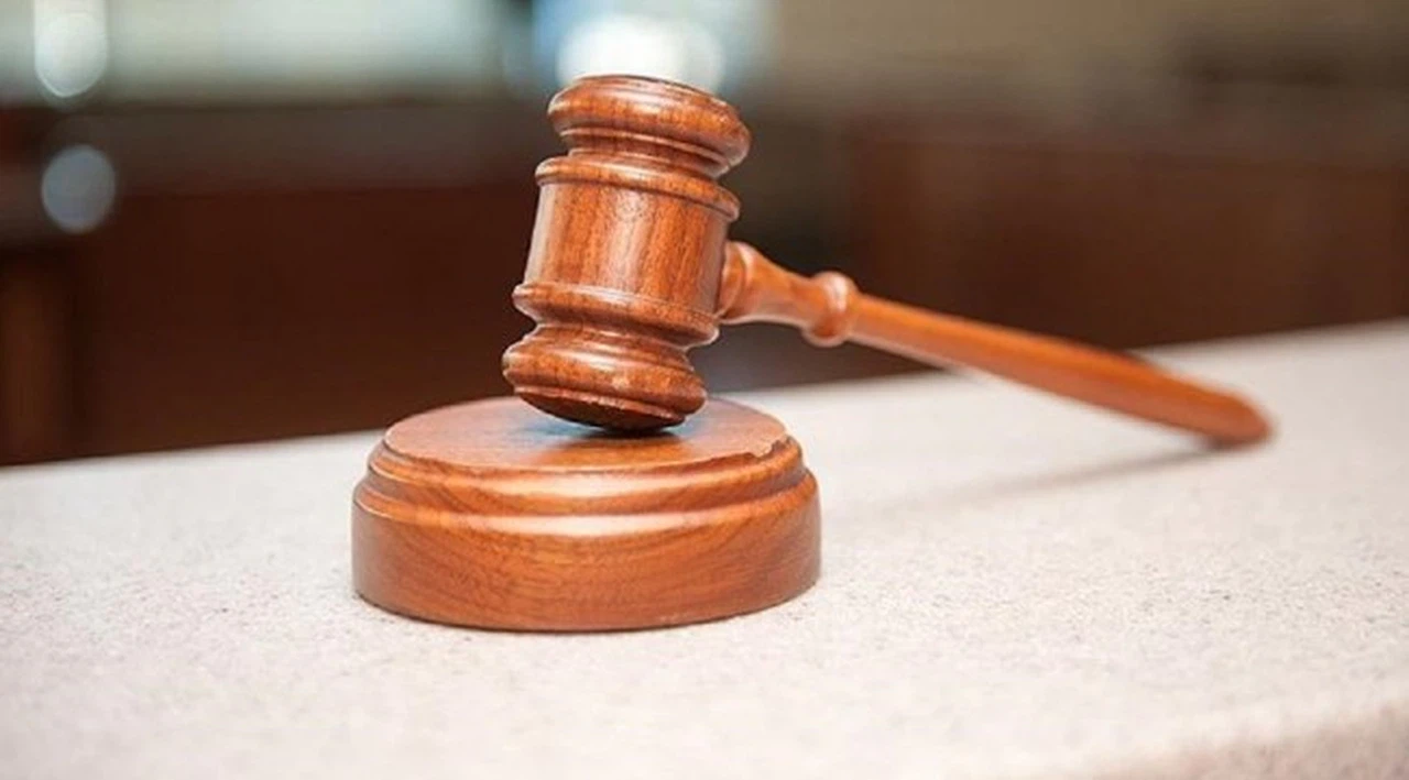 Kediyi yere vurarak öldüren sanığa 2 yıl hapis cezası