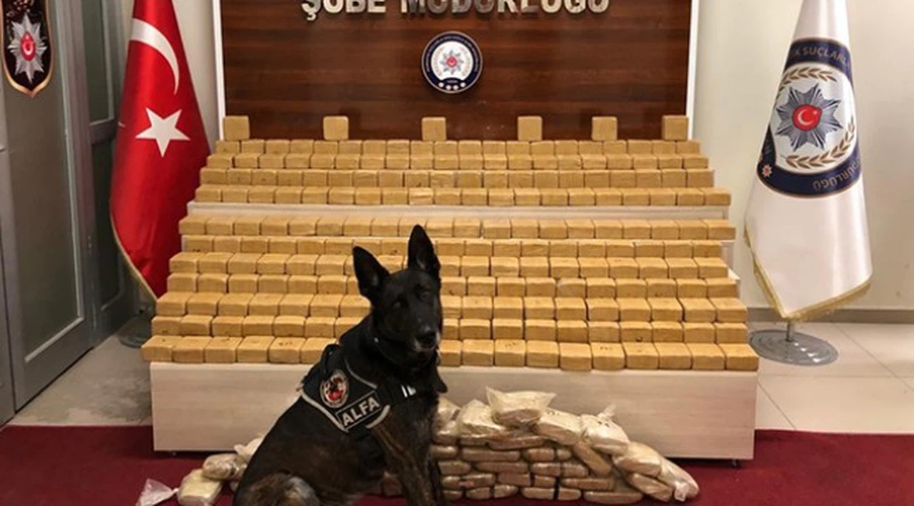 Pul biber ile kamufle edilen eroin, narkotik köpeği Alfa'ya takıldı