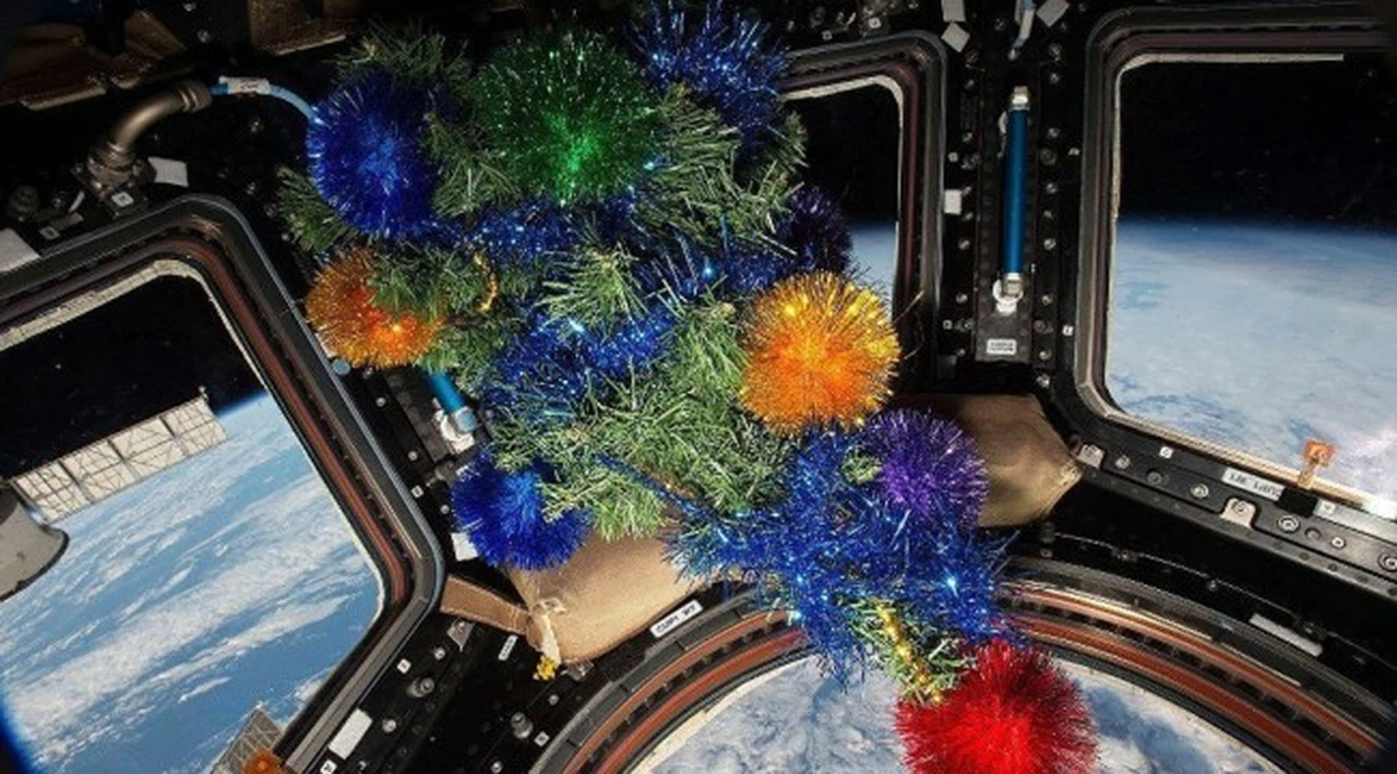 Rusya, NASA'ya sordu: Uzaya kim alkol getirdi?