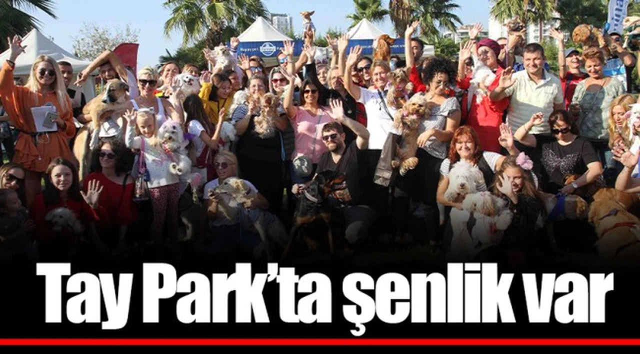 Tay Park’ta şenlik var