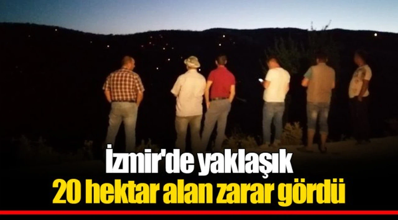 İzmir'de yaklaşık 20 hektar alan zarar gördü