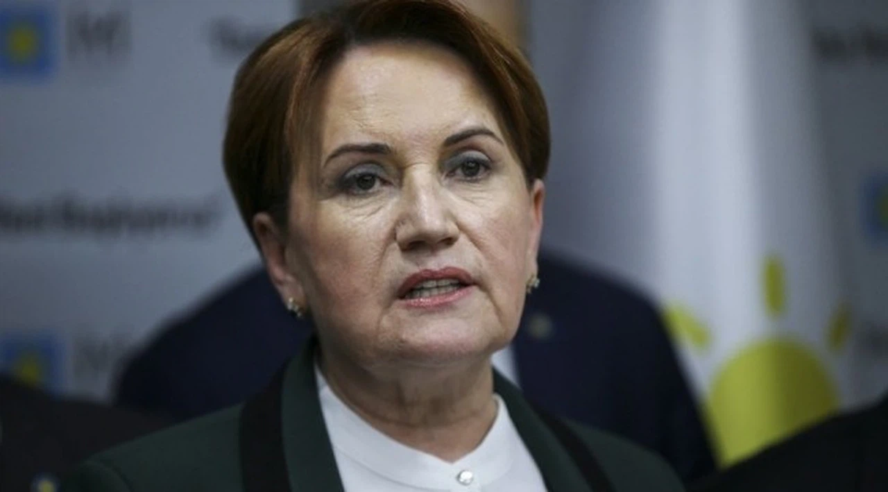 Meral Akşener'den anket açıklaması