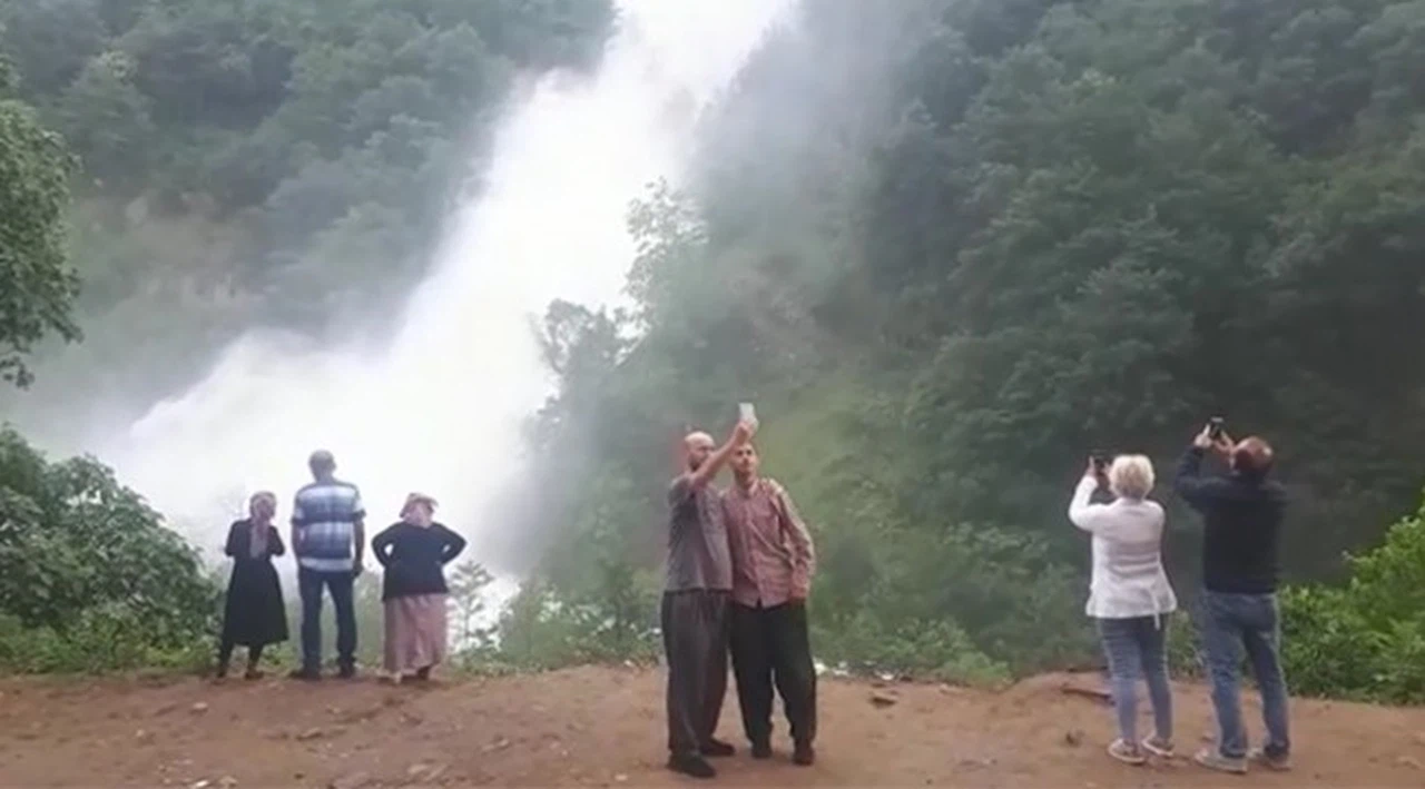 Yoldan geçerken görenler araçlarından inip fotoğrafını çekti