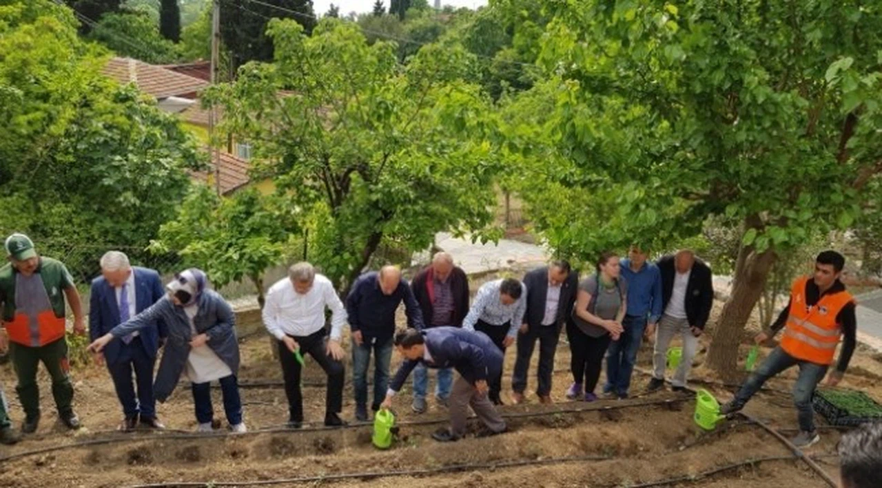 İstanbul'un göbeğinde köy hayatı
