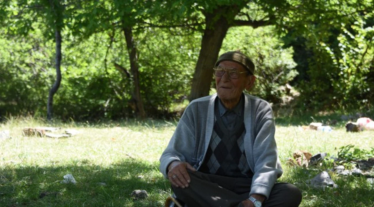 Kıraç toprakları ormana çevirdiler: '26 yıl boyunca çalıştım, o zamanlar kıraçtı, şimdi kesiyorlar, odun yapıyorlar'