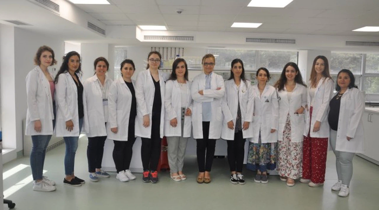 Klonlama yöntemi ile bir yapraktan binlerce ağaç üretiliyor