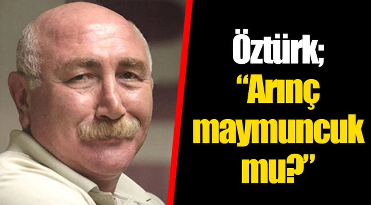 Öztürk; “Arınç maymuncuk mu?