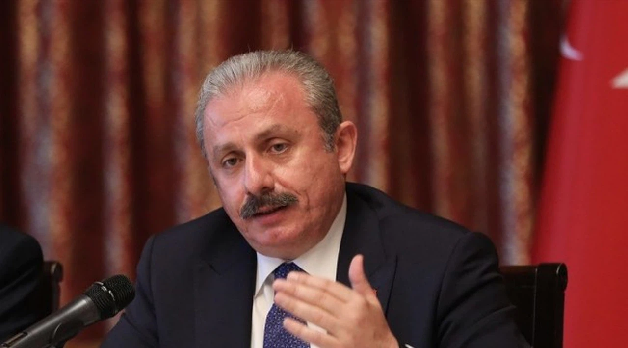 TBMM Başkanı Şentop'tan gensoru açıklaması: Bu sistemin şanzımanı farklı