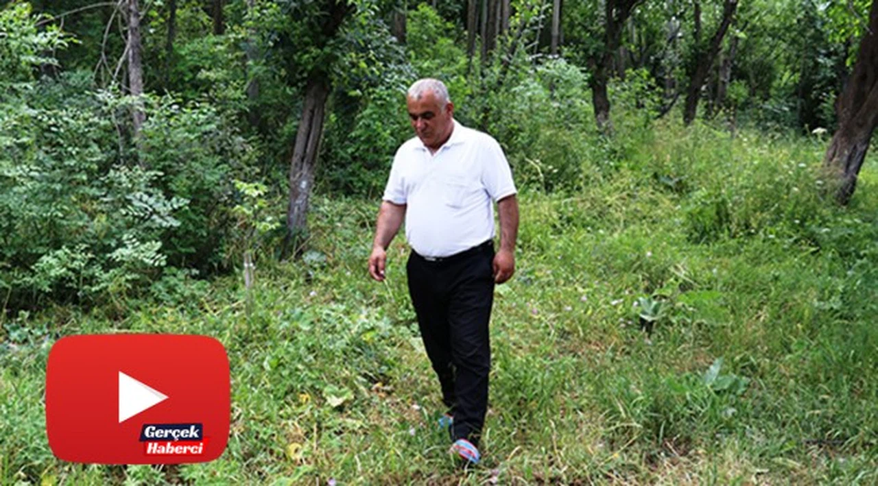 'Uykuda ölürüm' korkusu yüzünden üç yıldır uyuyamıyor