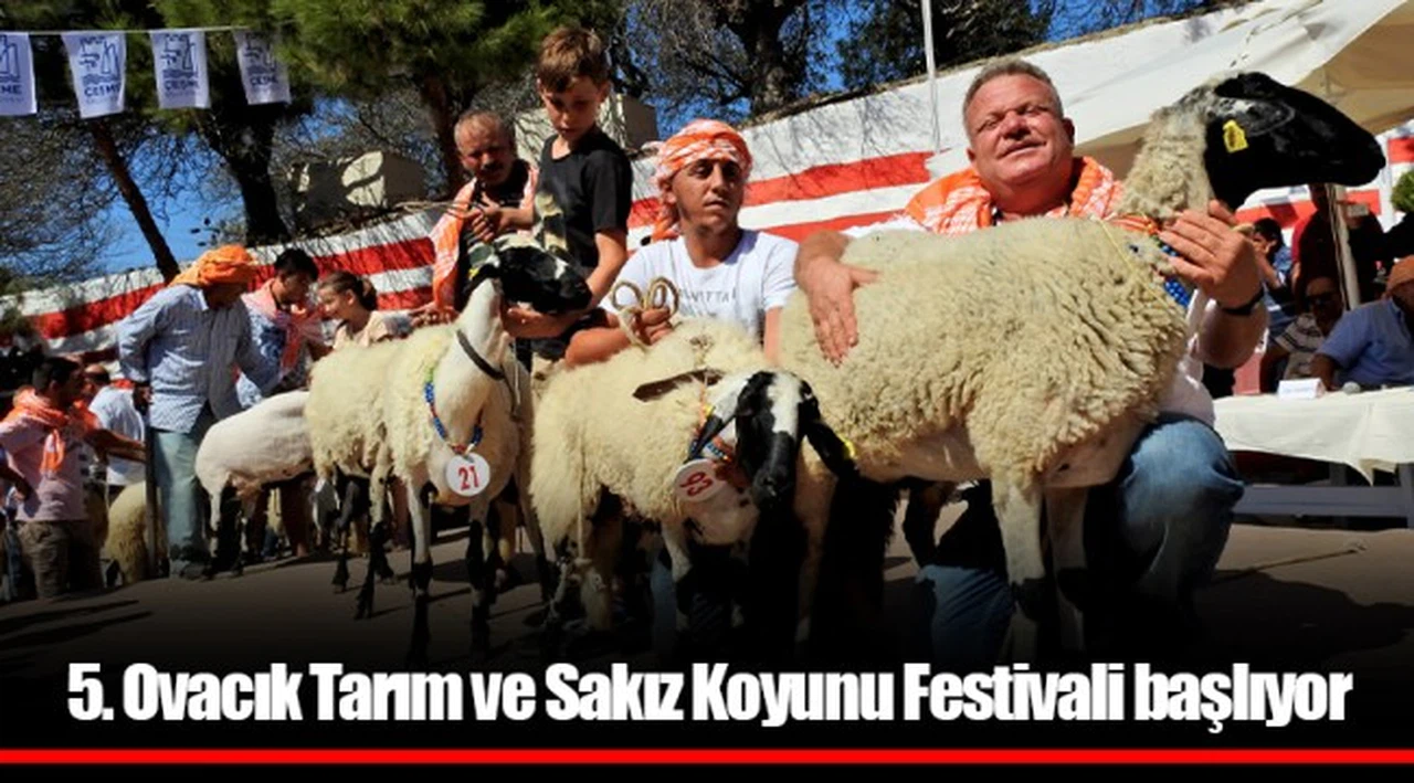 5. Ovacık Tarım ve Sakız Koyunu Festivali başlıyor