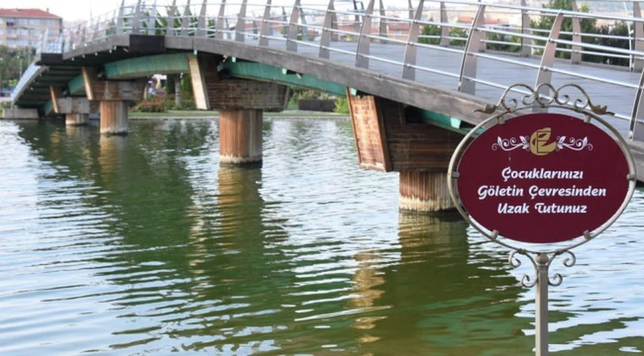 6 yaşındaki oğlunu 'Cennete gitsin' deyip gölete attı
