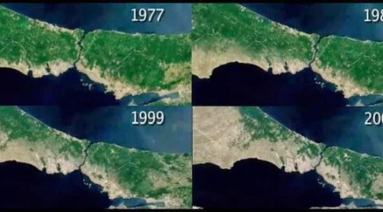 Araştırma: Dünyadaki yeşillenme 20 yıl önce durdu