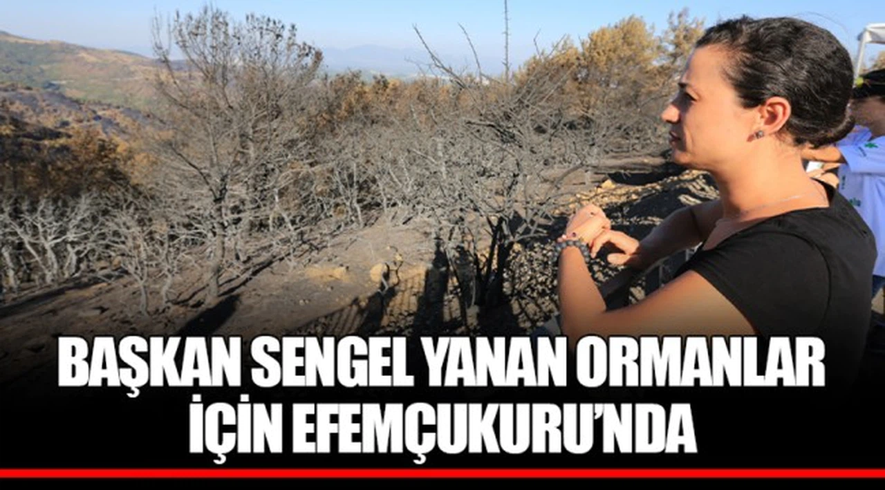 BAŞKAN SENGEL YANAN ORMANLAR İÇİN EFEMÇUKURU’NDA