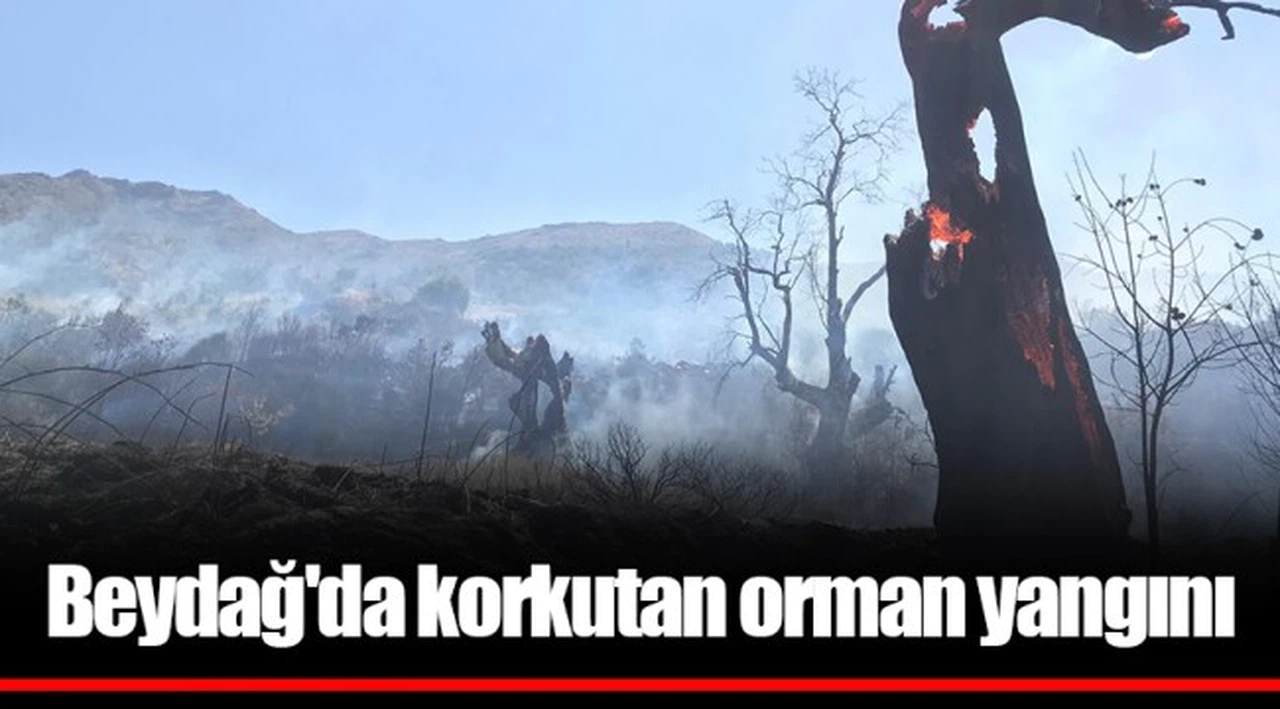 Beydağ'da korkutan orman yangını
