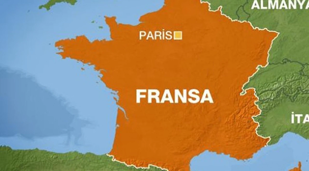Fransa'da doktorlardan ilaç kıtlığına çözüm önerisi