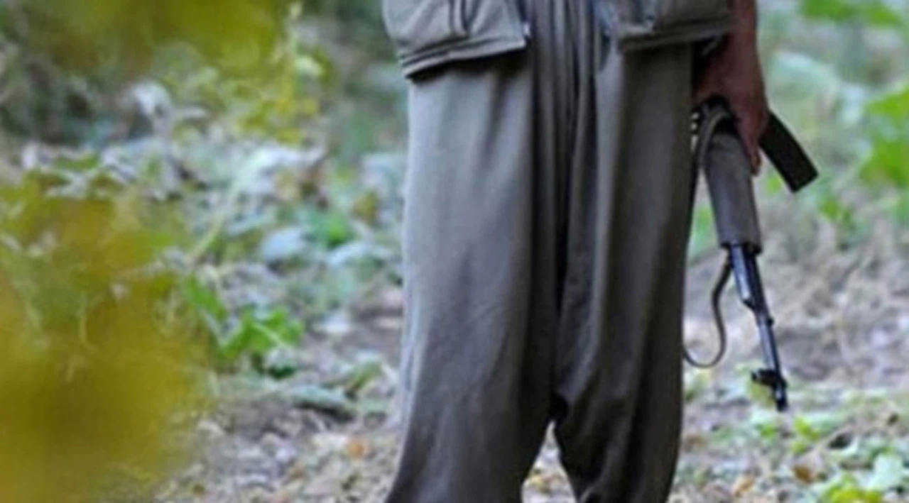 Hakkari'de 6 PKK'lı terörist etkisiz hale getirildi