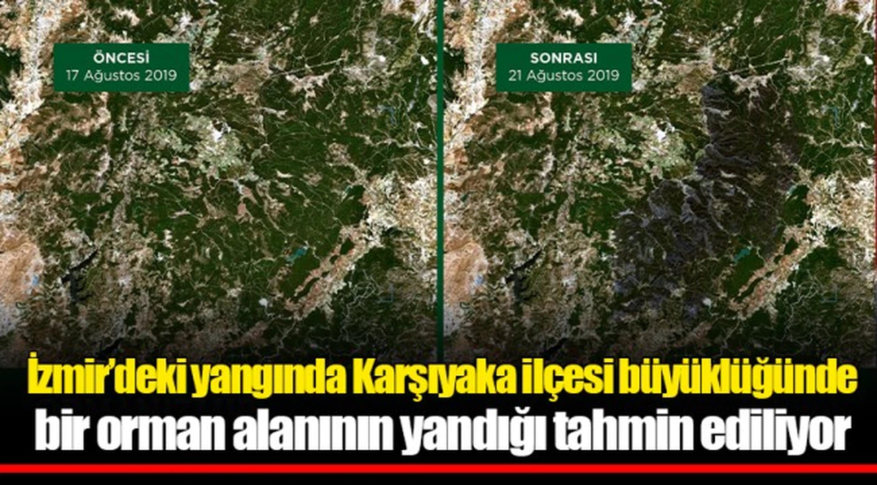 İzmir’deki yangında Karşıyaka ilçesi büyüklüğünde bir orman alanının yandığı tahmin ediliyor