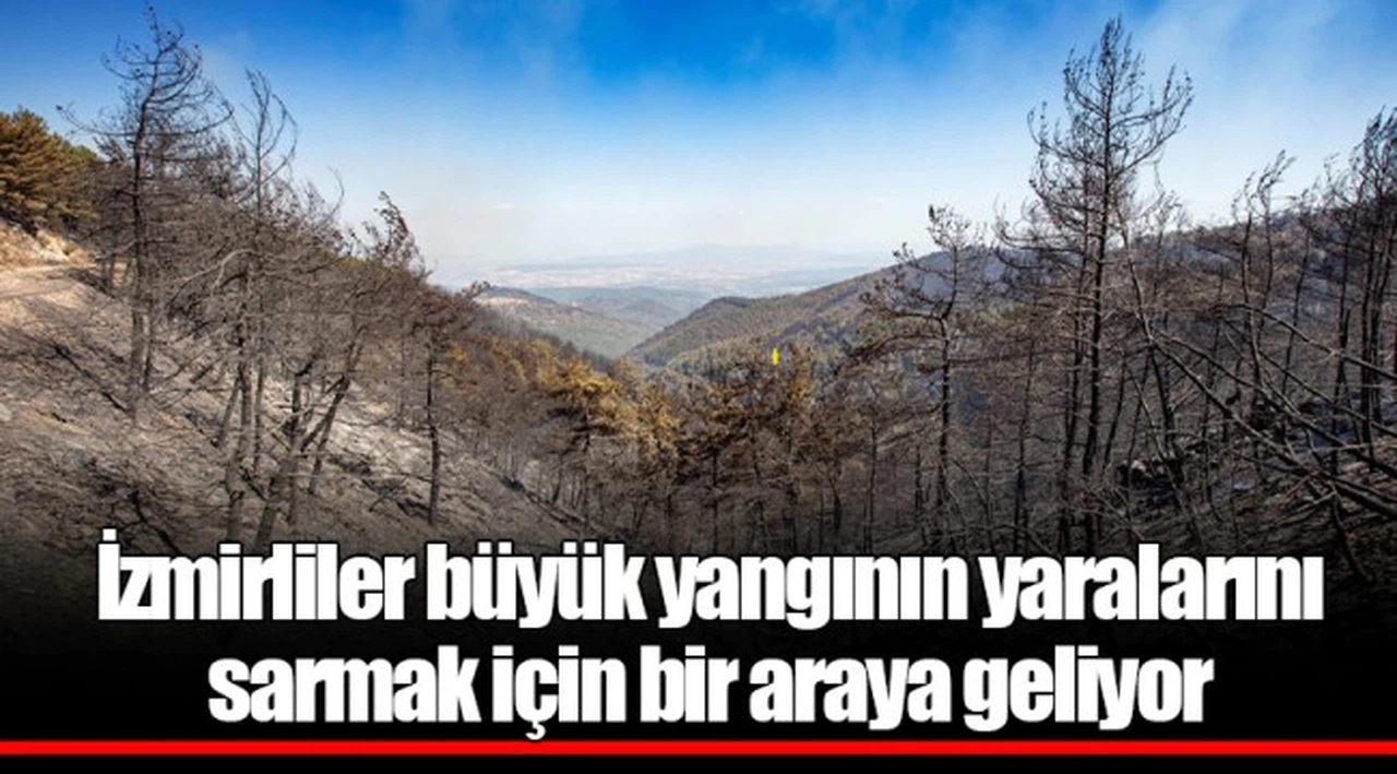 İzmirliler büyük yangının yaralarını sarmak için bir araya geliyor