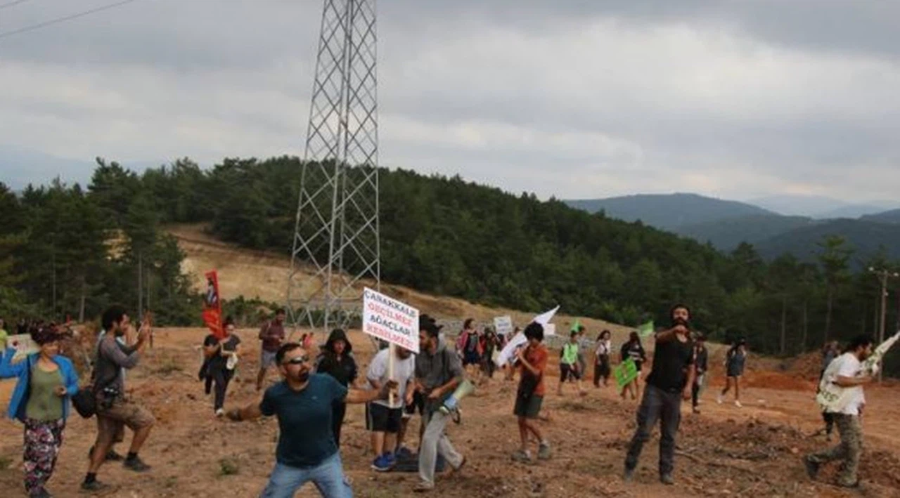 Kanadalılar Kaz Dağları için toplanıyor