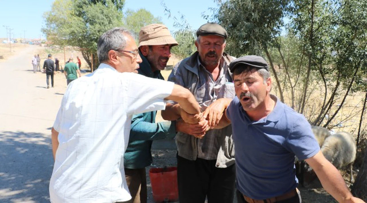 Kurbanlık fiyatları bayramın son gününde yarı yarıya düştü