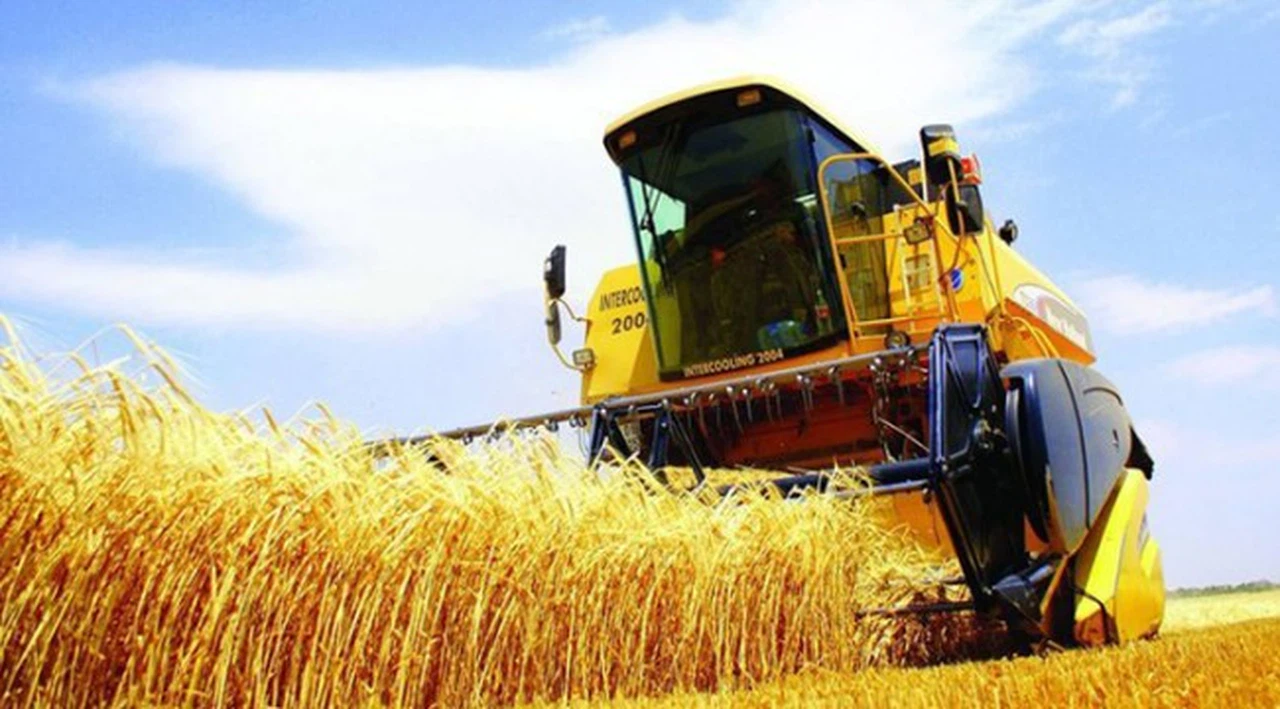 Tarım ÜFE, temmuz ayında geçen yılın aynı ayına göre yüzde 22.83 yükseldi