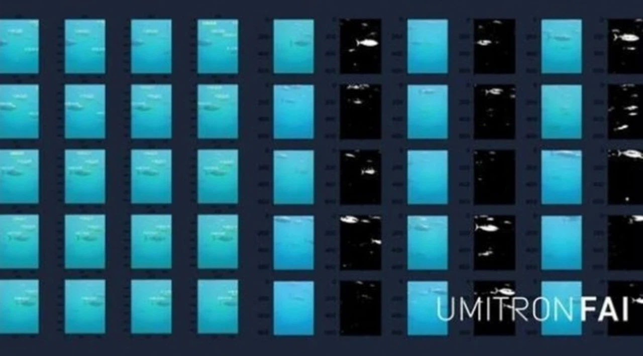 UMITRON, Fish Appetite Index'i piyasaya sürdü