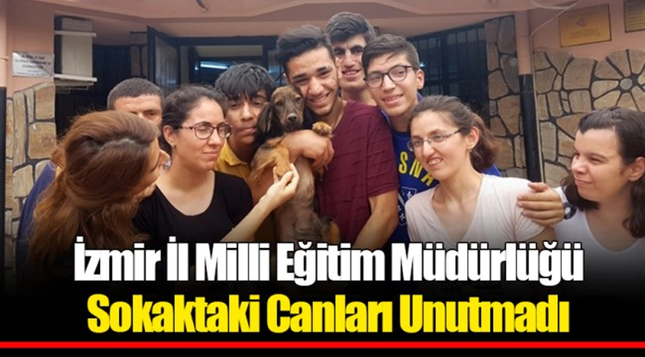 İzmir İl Milli Eğitim Müdürlüğü Sokaktaki Canları Unutmadı