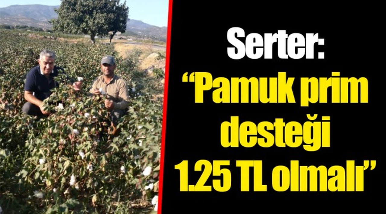 Serter: “Pamuk prim desteği 1.25 TL olmalı”