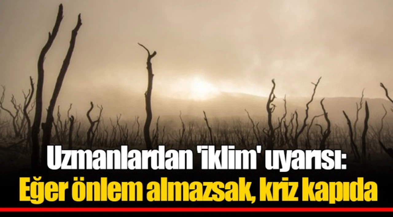 Uzmanlardan 'iklim' uyarısı: Eğer önlem almazsak, kriz kapıda