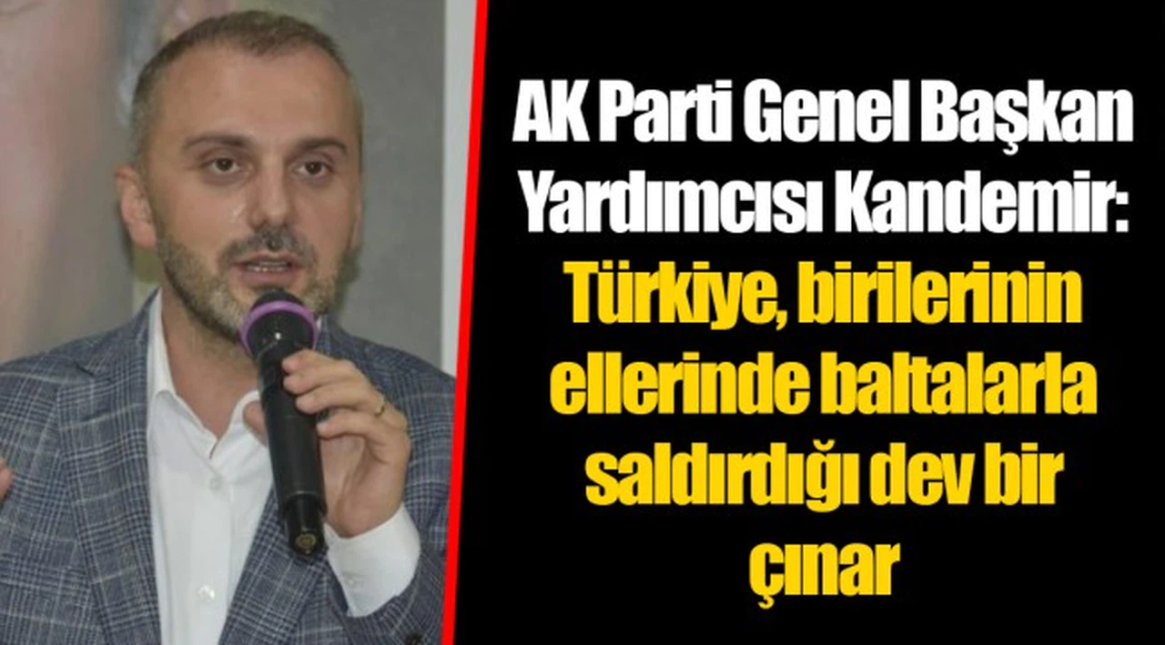 AK Parti Genel Başkan Yardımcısı Kandemir: Türkiye, birilerinin ellerinde baltalarla saldırdığı dev bir çınar