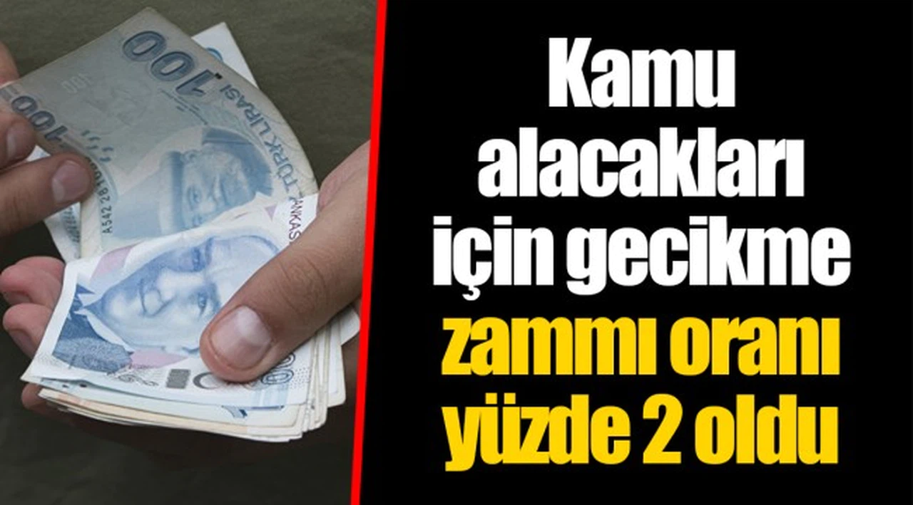 Kamu alacakları için gecikme zammı oranı yüzde 2 oldu