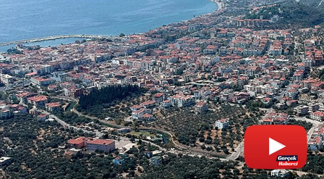 Kazdağları'nda villa yapımı için 2,5 milyon zeytin ağacı kesildi, acı tablo havadan görüntülendi