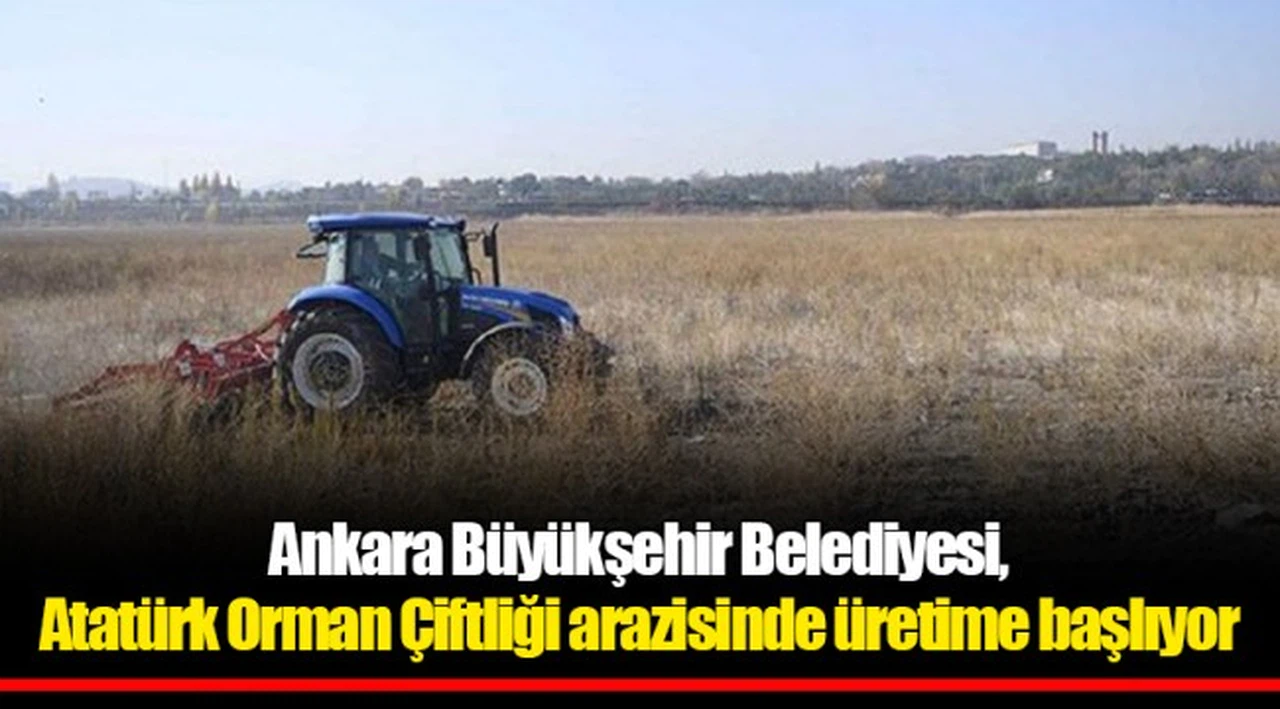 Ankara Büyükşehir Belediyesi, Atatürk Orman Çiftliği arazisinde üretime başlıyor