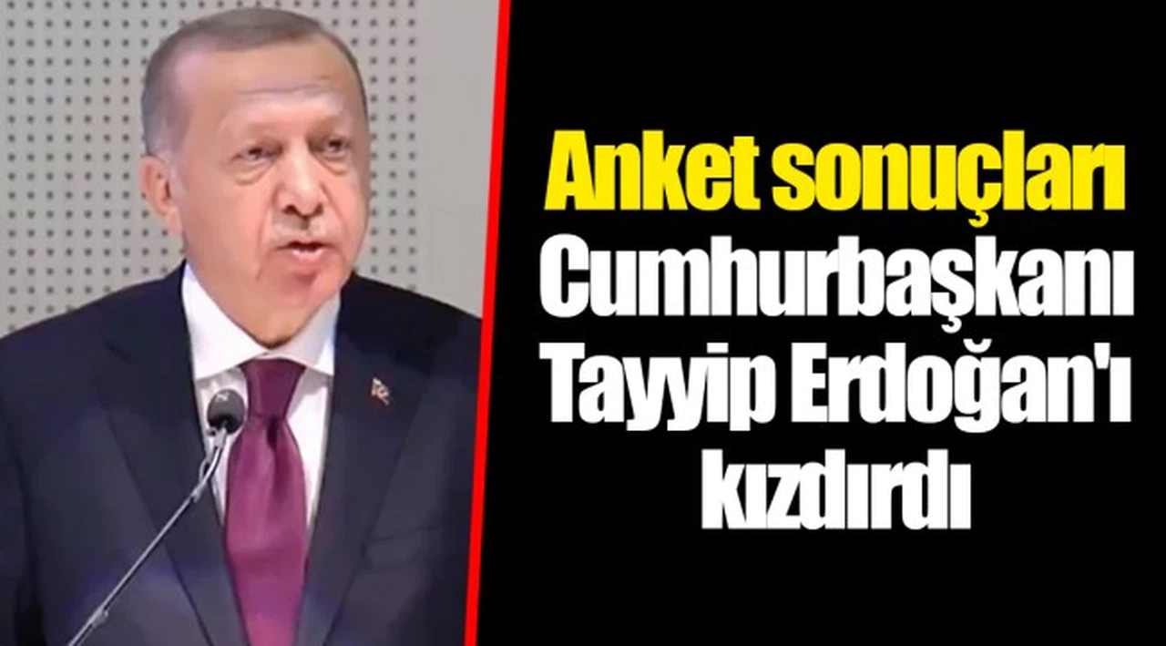 Anket sonuçları Cumhurbaşkanı Tayyip Erdoğan'ı kızdırdı