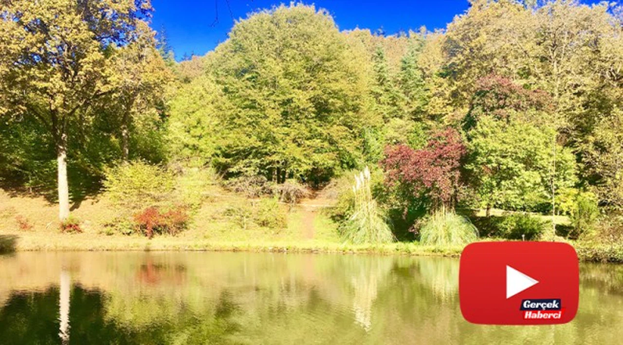 Atatürk Arboretumu'nda renk cümbüşü
