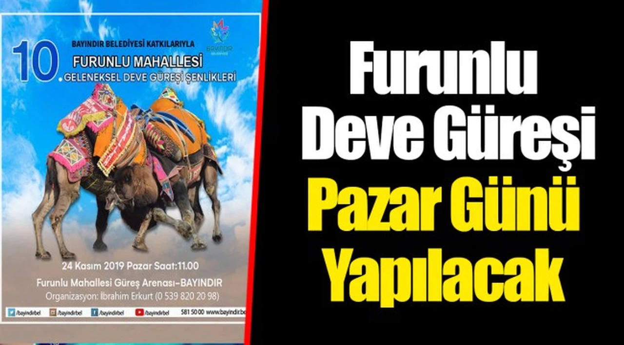 Furunlu Deve Güreşi Pazar Günü Yapılacak
