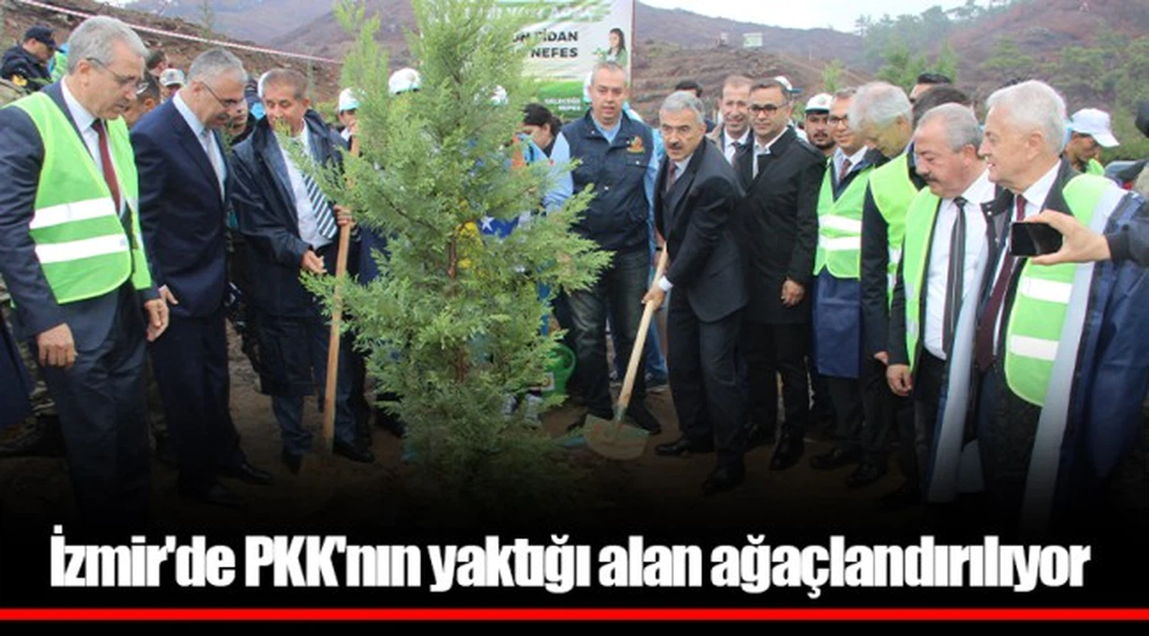 İzmir'de PKK'nın yaktığı alan ağaçlandırılıyor