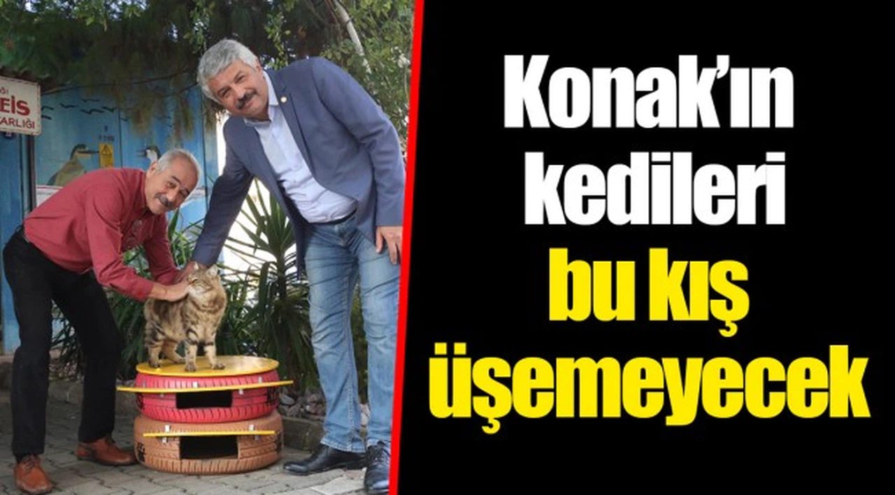 Konak’ın kedileri bu kış üşemeyecek