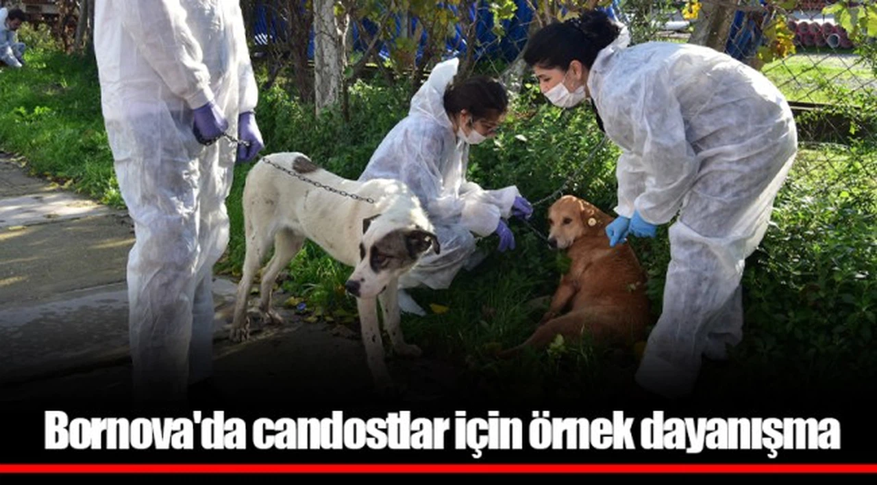 Bornova'da candostlar için örnek dayanışma