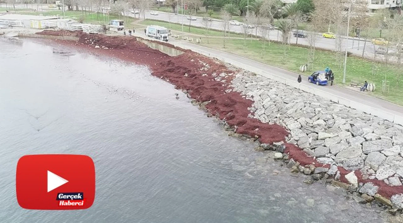 Caddebostan Sahili kızıla büründü