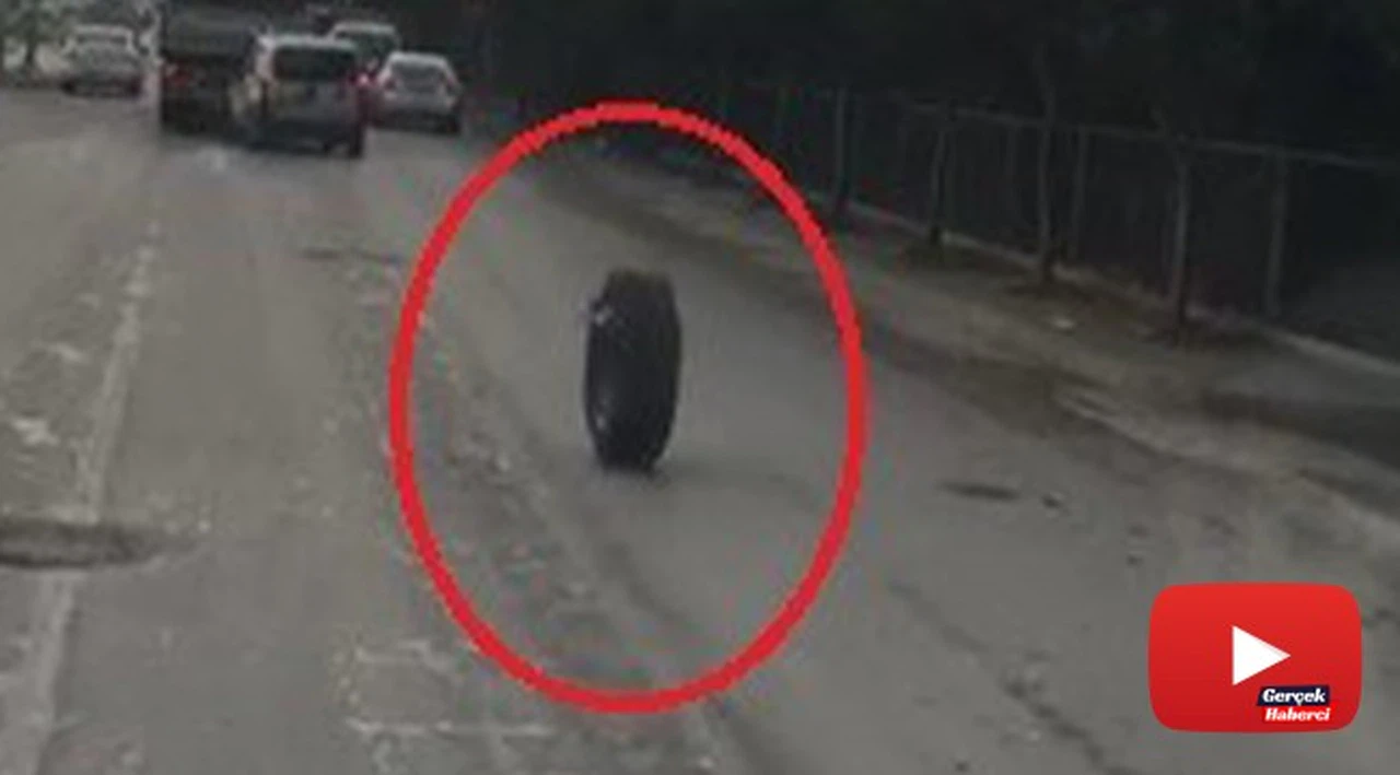 Kamyondan fırlayan tekerlek trafikte onlarca metre böyle gitti